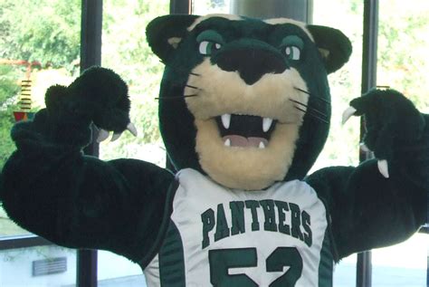 Suny panther mascot